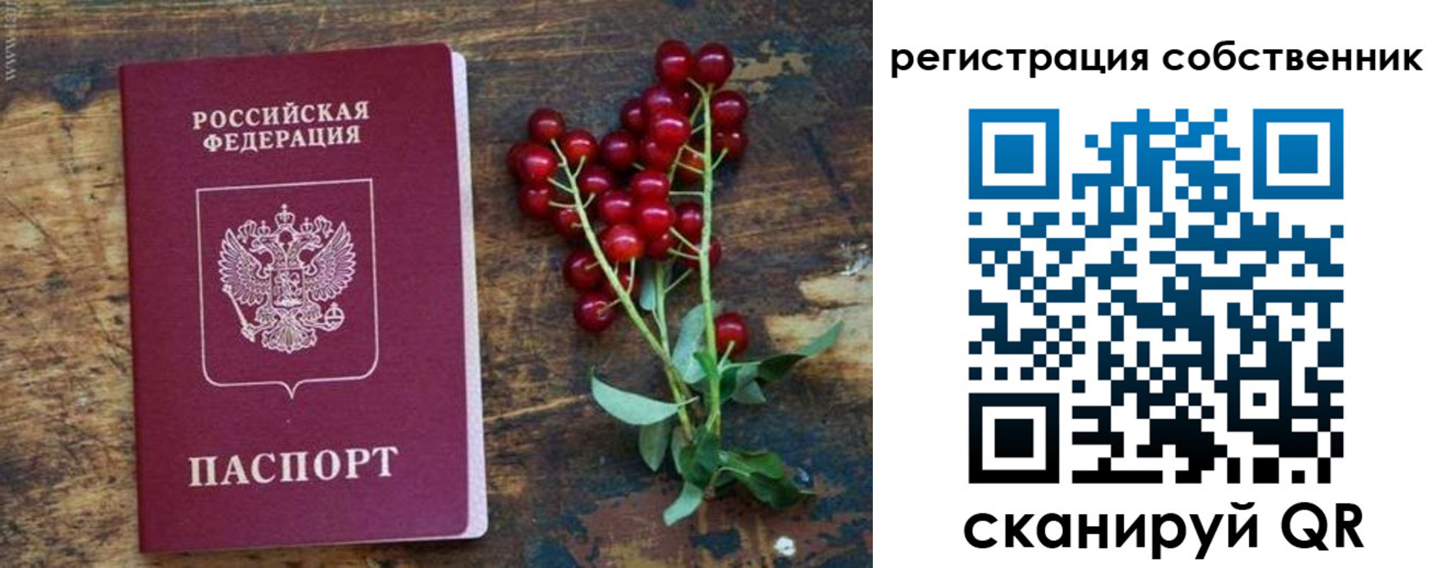 регистрация для дет. сада в Калининске